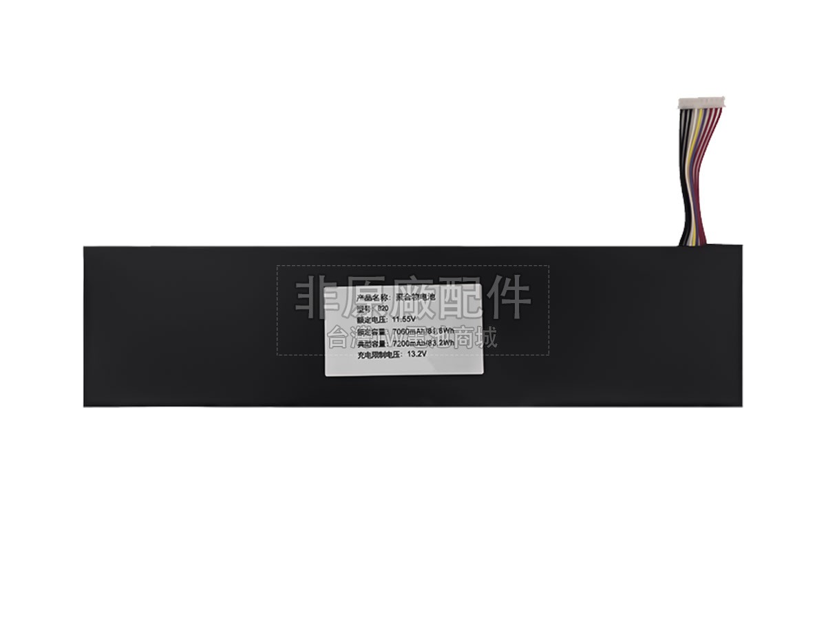 TongfangPC B20-7A副廠電池
